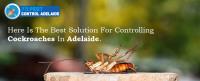 711 Cockroach Control Adelaide image 10